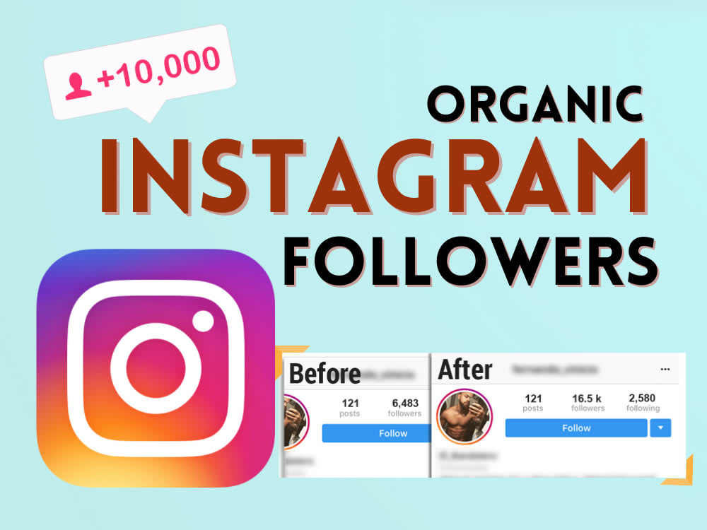 You will get Instagram 5000+ Followers Non-Drop Service